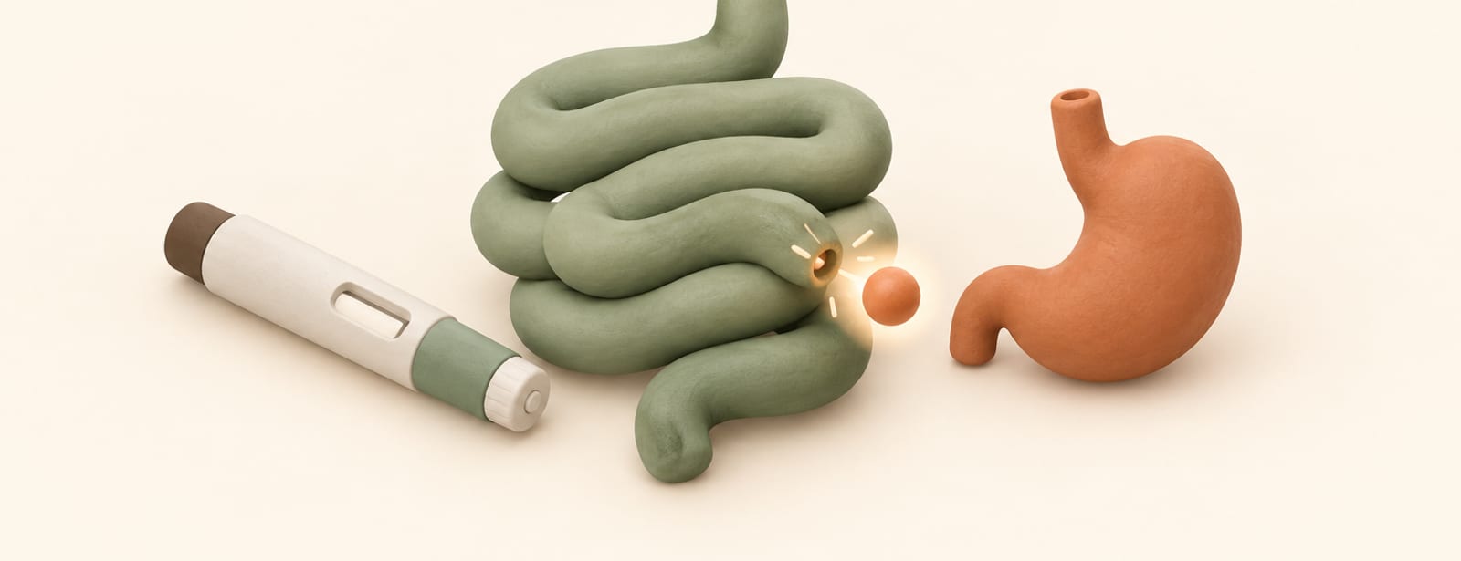 Isometric clay scene of a coiled intestine releasing a hormone droplet beside an injection pen and a stomach shape.