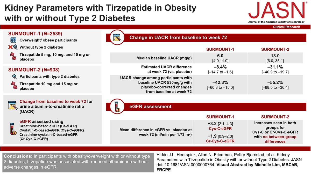 Kidney analysis of two tirzepatide trials finds no adverse filtration signal