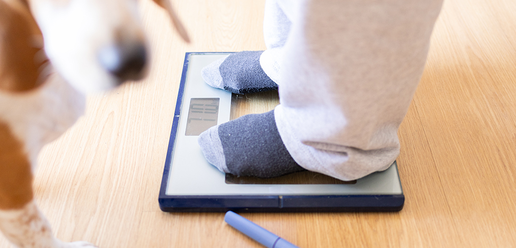 Semaglutide and other GLP-1 use tied to better joint surgery outcomes and higher bone risk