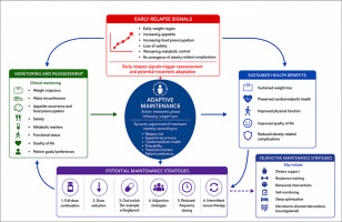 Review proposes adaptive maintenance framework for weight loss care after GLP-1 drugs