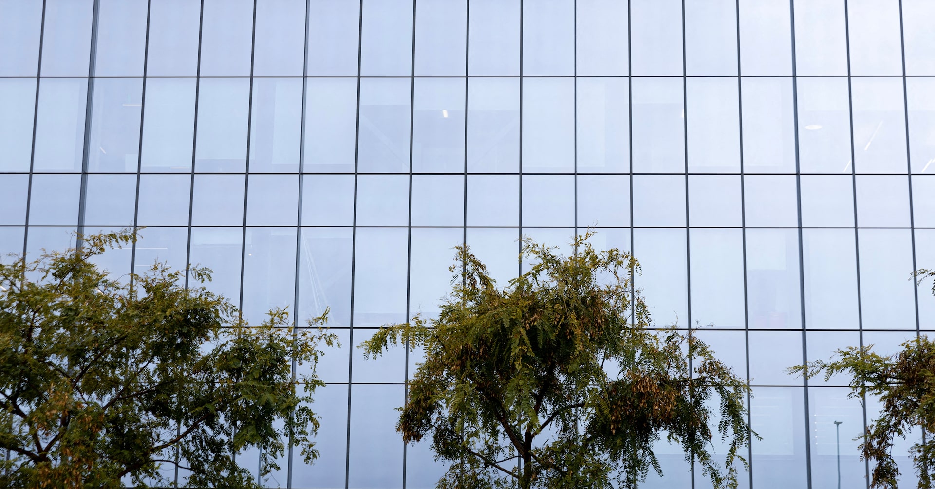 FDA again says tirzepatide shortage is resolved and sets compounding deadlines