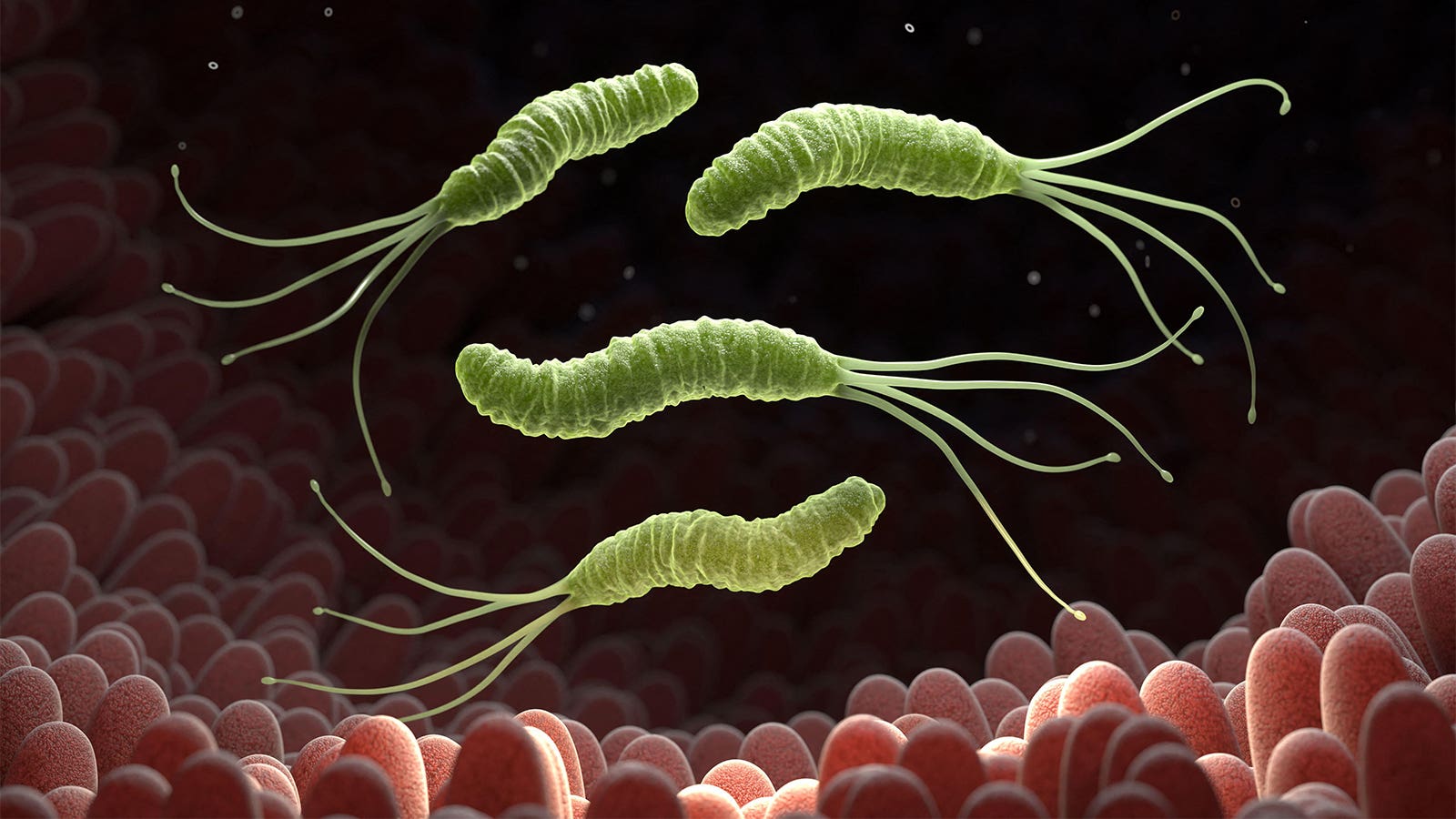GLP-1 users report more nail disorders, including detachment, in EADV study