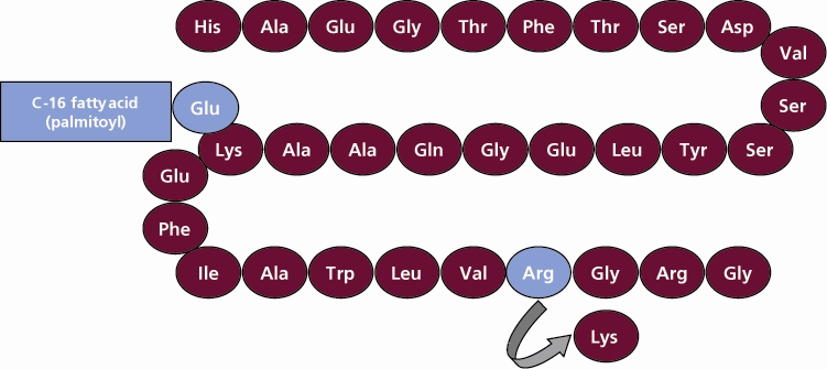 Liraglutide reduced major heart events in adults with type 2 diabetes