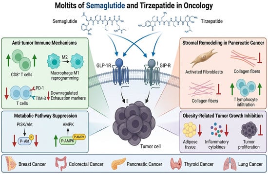Review finds thin evidence for off-label semaglutide and tirzepatide uses