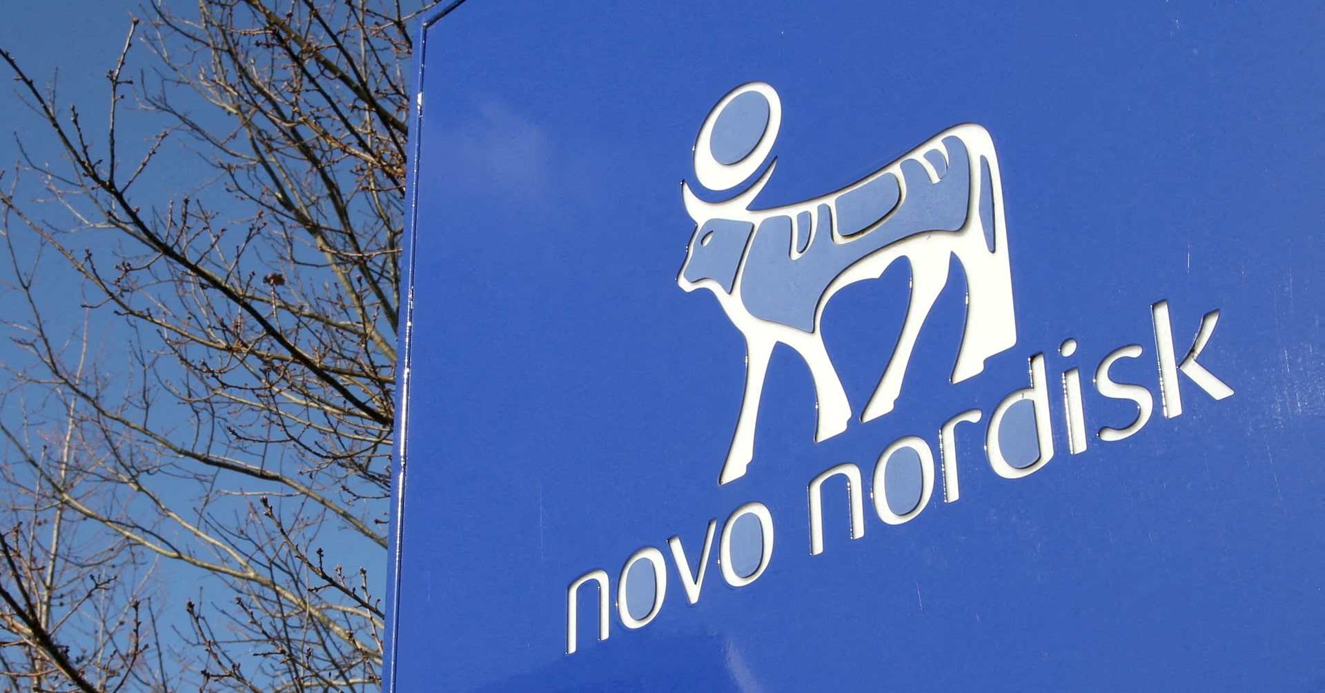 Novo Nordisk alleges fraud over ocedurenone deal, seeks up to $830 million from KBP Biosciences