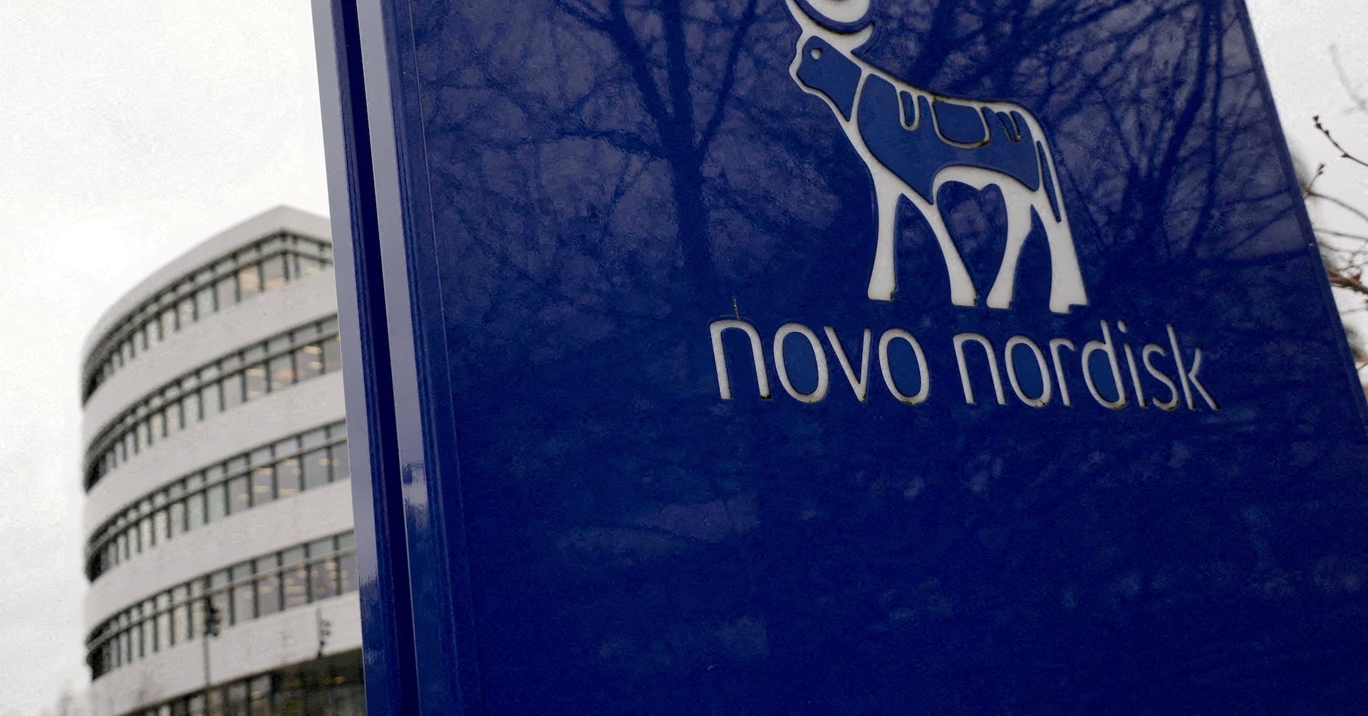 Judge lets part of CagriSema fraud lawsuit against Novo Nordisk proceed