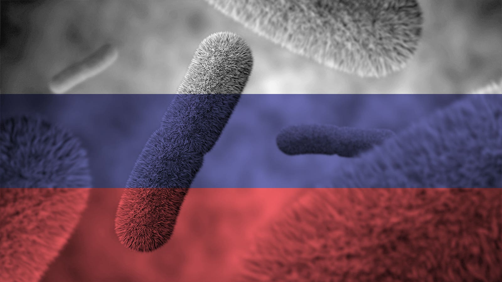 FDA received two death reports linked to counterfeit retatrutide