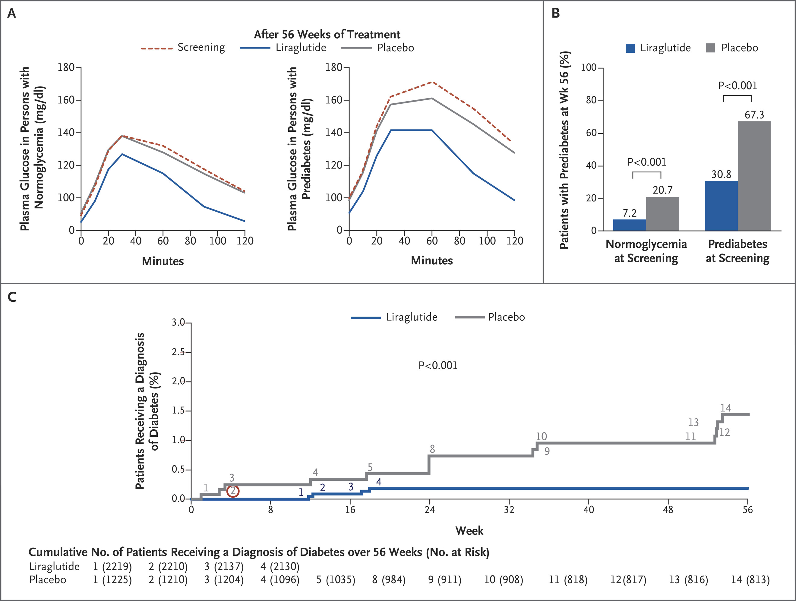 Liraglutide 3.0 mg produced more weight loss than placebo in 56-week trial