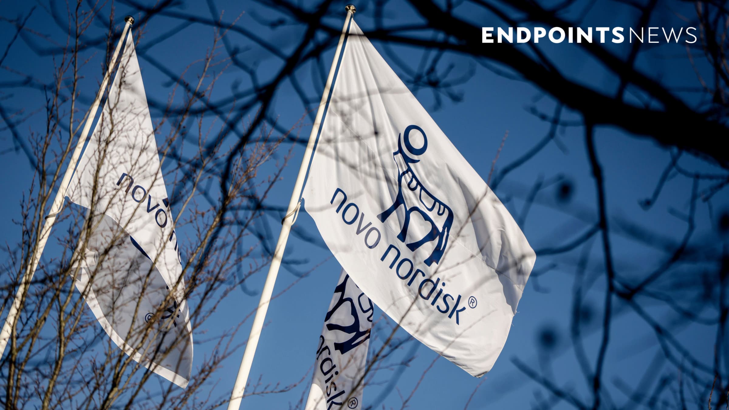 Novo Nordisk halts two ziltivekimab heart failure trials after futility finding