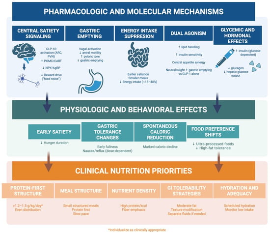 Nutrition review proposes calorie floors during GLP-1 and dual incretin therapy